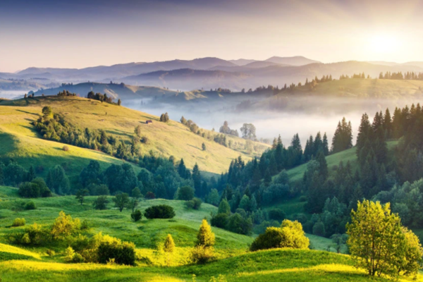 達(dá)成“雙碳”目標(biāo)不只是“減碳”！(圖1)